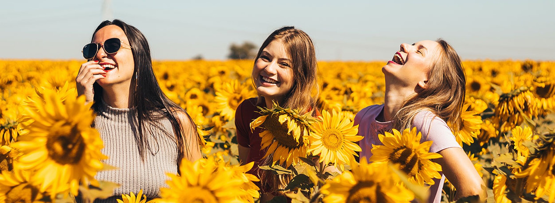 Frauen im Sonnenblumenfeld